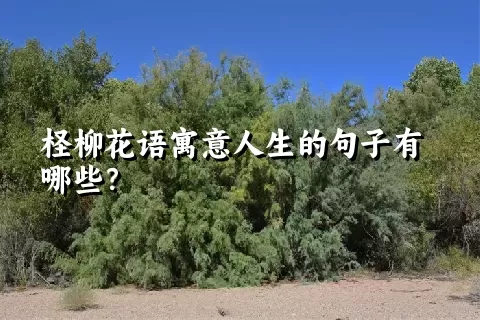 柽柳花语寓意人生的句子有哪些？