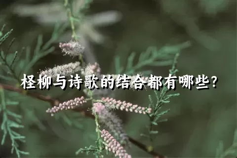 柽柳与诗歌的结合都有哪些？