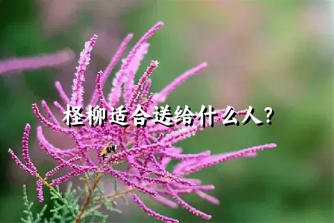 柽柳适合送给什么人？