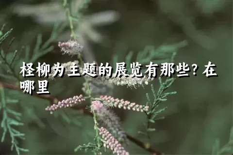 柽柳为主题的展览有那些？在哪里