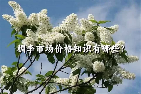 稠李市场价格知识有哪些？