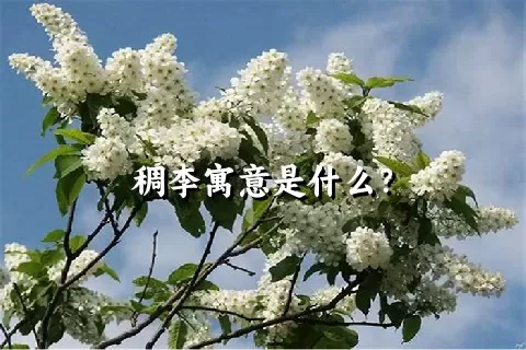 稠李寓意是什么？