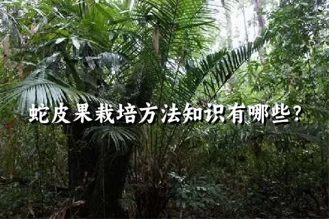 蛇皮果栽培方法知识有哪些？