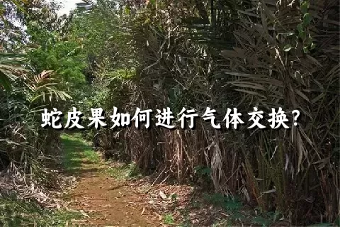 蛇皮果如何进行气体交换？