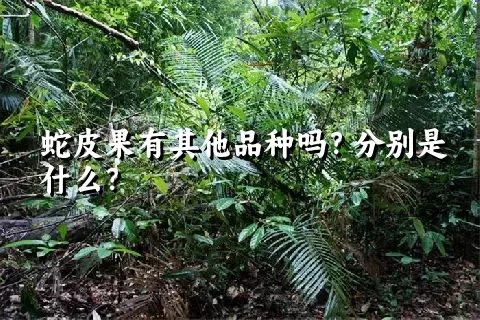 蛇皮果有其他品种吗？分别是什么？