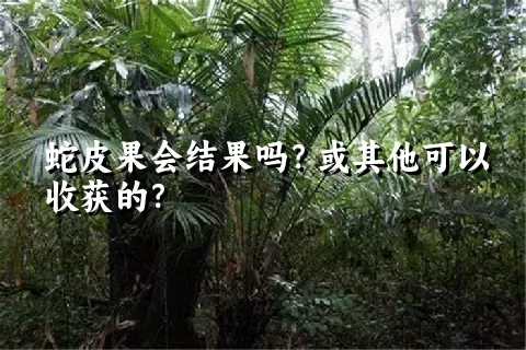 蛇皮果会结果吗？或其他可以收获的？