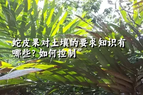 蛇皮果对土壤的要求知识有哪些？如何控制