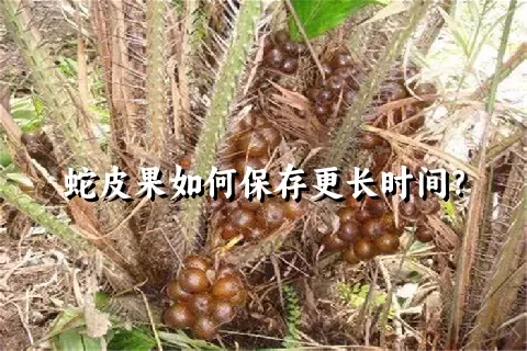 蛇皮果如何保存更长时间？