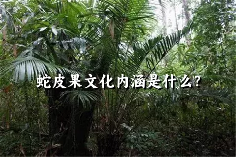 蛇皮果文化内涵是什么？