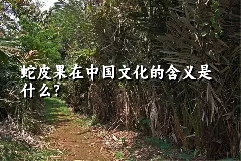 蛇皮果在中国文化的含义是什么？