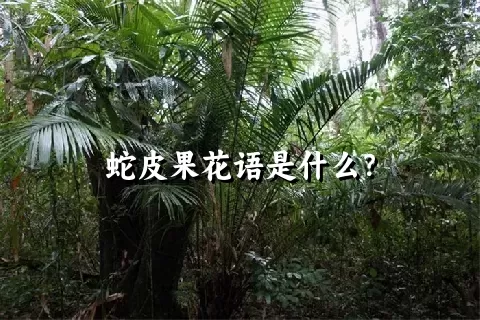 蛇皮果花语是什么？