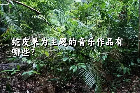 蛇皮果为主题的音乐作品有哪些？