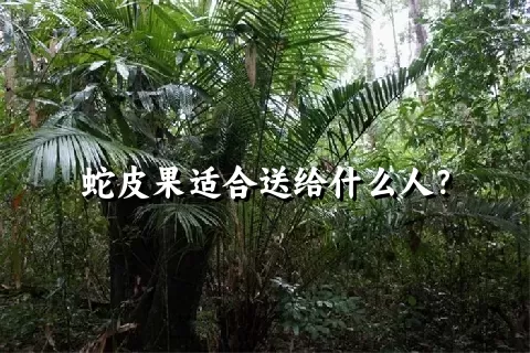 蛇皮果适合送给什么人？