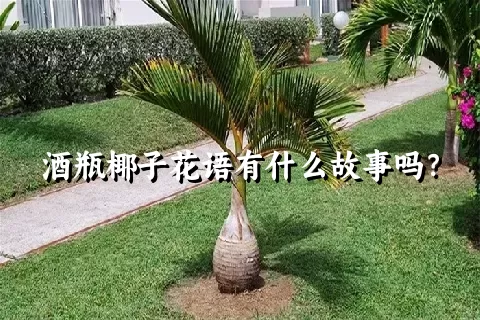 酒瓶椰子花语有什么故事吗？