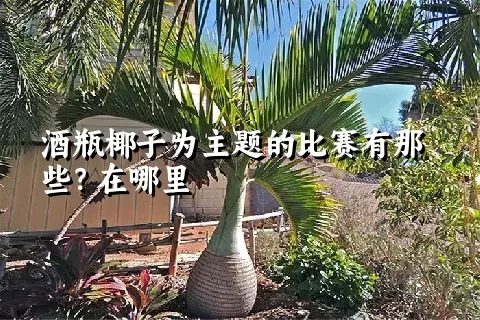 酒瓶椰子为主题的比赛有那些？在哪里