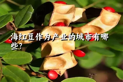 海红豆作为产业的城市有哪些？