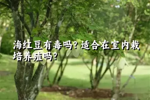 海红豆有毒吗？适合在室内栽培养殖吗？