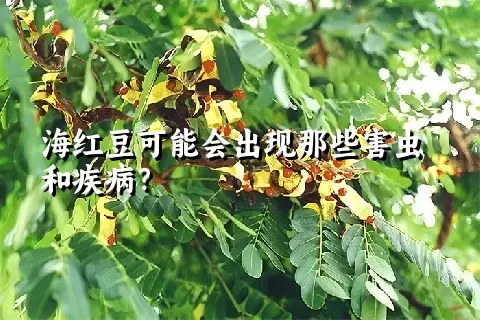 海红豆可能会出现那些害虫和疾病？