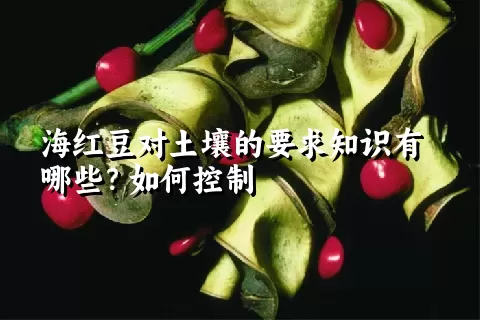 海红豆对土壤的要求知识有哪些？如何控制