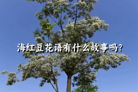 海红豆花语有什么故事吗？