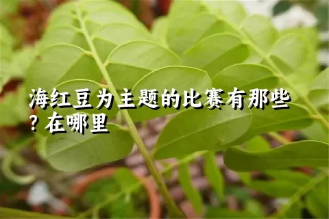 海红豆为主题的比赛有那些？在哪里