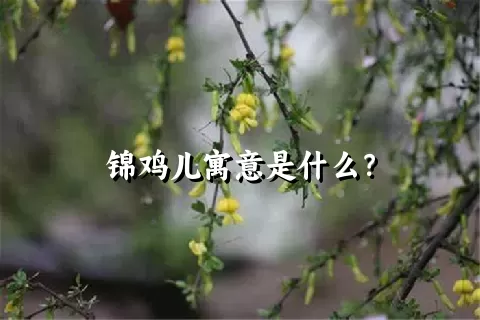 锦鸡儿寓意是什么？