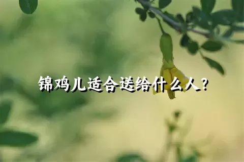 锦鸡儿适合送给什么人？