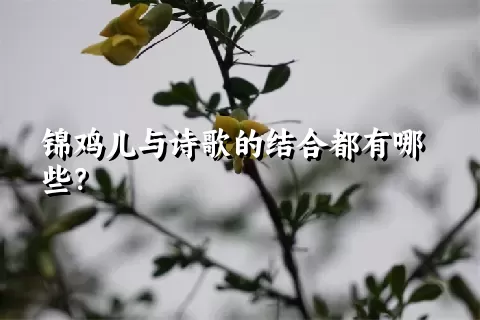 锦鸡儿与诗歌的结合都有哪些？