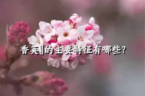 香荚蒾的主要特征有哪些？