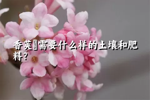 香荚蒾需要什么样的土壤和肥料？