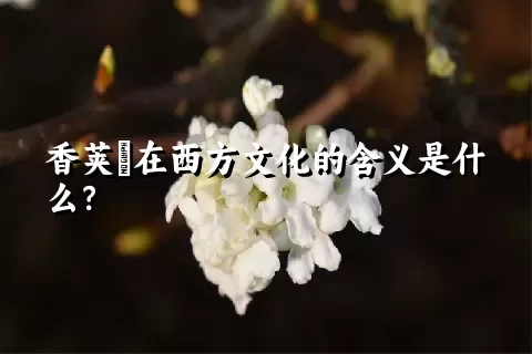 香荚蒾在西方文化的含义是什么？