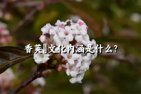 香荚蒾文化内涵是什么？