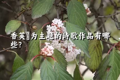 香荚蒾为主题的诗歌作品有哪些？