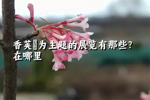 香荚蒾为主题的展览有那些？在哪里