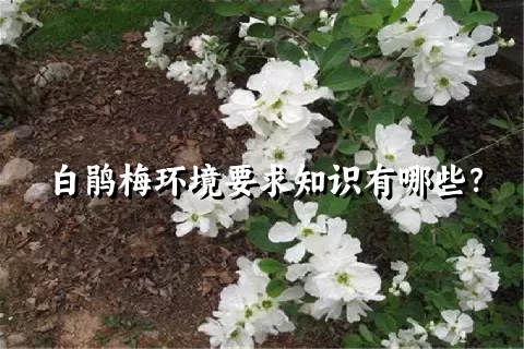 白鹃梅环境要求知识有哪些？