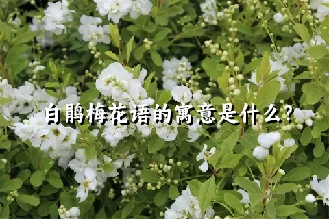 白鹃梅花语的寓意是什么？