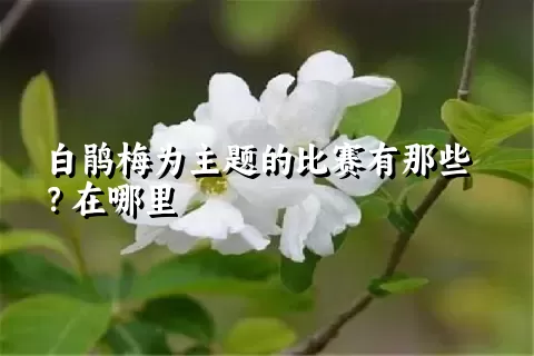 白鹃梅为主题的比赛有那些？在哪里