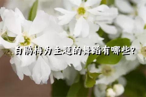 白鹃梅为主题的舞蹈有哪些？