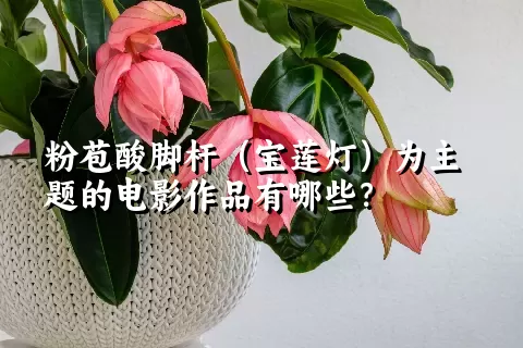 粉苞酸脚杆（宝莲灯）为主题的电影作品有哪些？