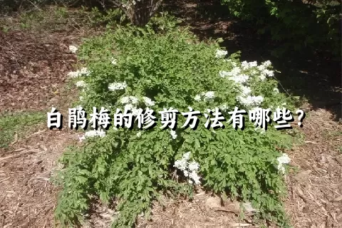 白鹃梅的修剪方法有哪些？