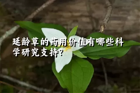 延龄草的药用价值有哪些科学研究支持？