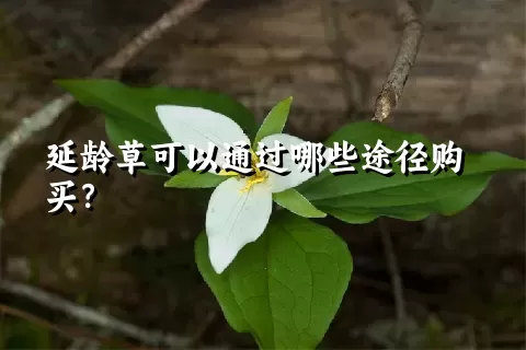 延龄草可以通过哪些途径购买？