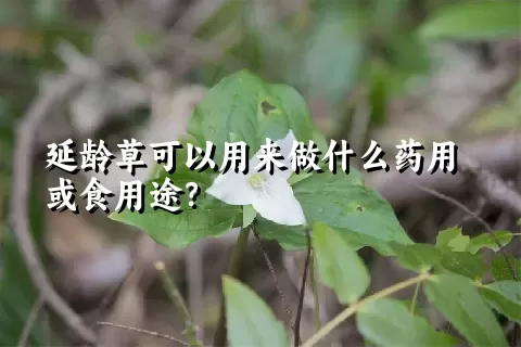 延龄草可以用来做什么药用或食用途？