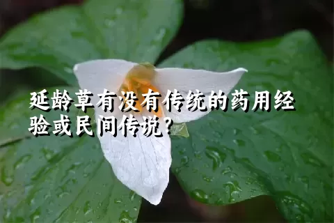 延龄草有没有传统的药用经验或民间传说？