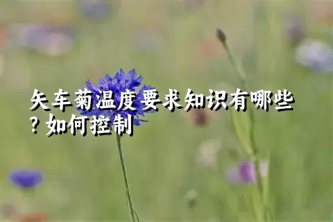 矢车菊温度要求知识有哪些？如何控制