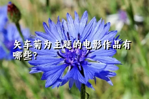 矢车菊为主题的电影作品有哪些？