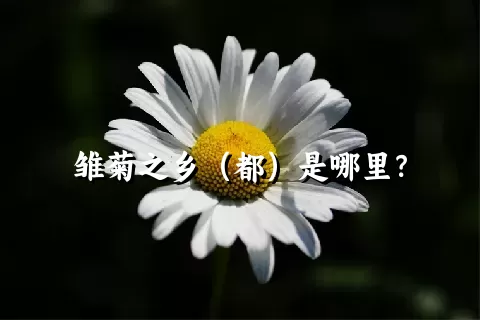 雏菊之乡（都）是哪里？