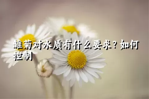 雏菊对水质有什么要求？如何控制