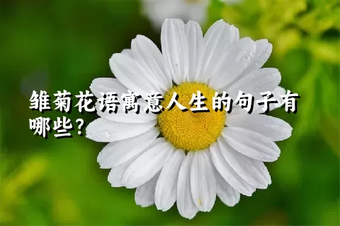 雏菊花语寓意人生的句子有哪些？