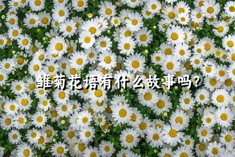 雏菊花语有什么故事吗？